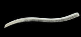 S-Shaped Curved Comb